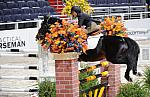 WIHS2-10-29-10-5918-Larone-TraceyWeinberg-DDeRosaPhoto.jpg