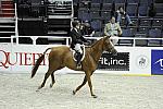 WIHS1-10-26-10-Cl3-GrConfHtr-7617-CoverArt-WinnAlden-DDeRosaPhoto.jpg