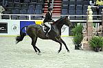 WIHS1-10-26-10-Cl3-GrConfHtr-7683-Stonewall-WinnAlden-DDeRosaPhoto.jpg