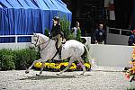 WIHS2-10-27-10-GrConfHtrStke-Cl5-0020-VanGogh-EhrinRittmueller-DDeRosaPhoto.jpg