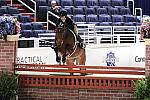 WIHS2-10-27-10-GrConfHtrStke-Cl5-0043-Surely-PegSeals-DDeRosaPhoto.jpg