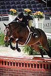 WIHS2-10-27-10-GrConfHtrStke-Cl5-0044-Surely-PegSeals-DDeRosaPhoto.jpg