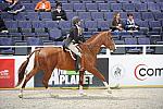 WIHS2-10-27-10-GrConfHtrStke-Cl5-0071-RedSky-MaggieJayne-DDeRosaPhoto.jpg