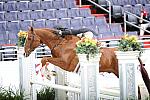WIHS2-10-27-10-GrConfHtrStke-Cl5-0072-RedSky-MaggieJayne-DDeRosaPhoto.jpg