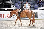 WIHS2-10-27-10-GrConfHtrStke-Cl5-0079-CoverArt-WinnAlden-DDeRosaPhoto.jpg