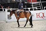 WIHS2-10-27-10-GrConfHtrStke-Cl5-0108-Whatever-EmilyWilliams-DDeRosaPhoto.jpg