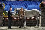 WIHS2-10-27-10-GrConfHtrStke-Cl5-0129-Listen-LarryGlefke-DDeRosaPhoto.jpg