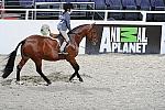 WIHS3-10-31-10-Cl113-MedPnyHtr-9468-Cleverist-DaisyFarish-DDeRosaPhoto.jpg