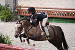 WIHS3-10-31-10-Cl113-MedPnyHtr-9499-Shitake-AleeceJarman-DDeRosaPhoto.jpg