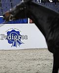 WIHS3-10-31-10-Cl113-MedPnyHtr-9564-DDeRosaPhoto.jpg