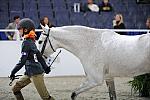 WIHS3-10-31-10-Cl113-MedPnyHtr-9565-DDeRosaPhoto.jpg