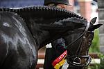 WIHS3-10-31-10-MedPnyHtrChamp-9791-Tuscany-SophieMichaels-DDeRosaPhoto.jpg
