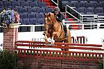 WIHS2-10-27-10-Cl14-RegConfHtrStke-0440-Quintin-HavensSchatt-DDeRosaPhoto.jpg