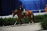 WIHS2-10-27-10-Cl44-RgWkgHtrStke-0397-Quintessential-WinnAlden-DDeRosaPhoto.jpg
