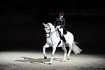 WIHS2-10-29-10-6406-PamGoodrich-Lamborghini-DDeRosaPhoto.JPG