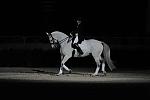 WIHS2-10-29-10-6425-PamGoodrich-Lamborghini-DDeRosaPhoto.JPG
