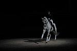 WIHS2-10-29-10-6448-PamGoodrich-Lamborghini-DDeRosaPhoto.JPG