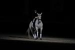 WIHS2-10-29-10-6465-PamGoodrich-Lamborghini-DDeRosaPhoto.JPG