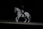 WIHS2-10-29-10-6466-PamGoodrich-Lamborghini-DDeRosaPhoto.JPG