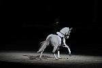 WIHS2-10-29-10-6489-PamGoodrich-Lamborghini-DDeRosaPhoto.JPG