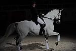WIHS2-10-29-10-6521-PamGoodrich-Lamborghini-DDeRosaPhoto.JPG