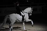 WIHS2-10-29-10-6523-PamGoodrich-Lamborghini-DDeRosaPhoto.JPG