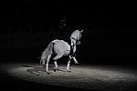 WIHS2-10-29-10-6528-PamGoodrich-Lamborghini-DDeRosaPhoto.JPG