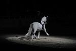 WIHS2-10-29-10-6529-PamGoodrich-Lamborghini-DDeRosaPhoto.JPG