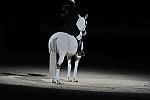 WIHS2-10-29-10-6533-PamGoodrich-Lamborghini-DDeRosaPhoto.JPG