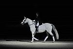 WIHS2-10-29-10-6535-PamGoodrich-Lamborghini-DDeRosaPhoto.JPG