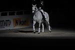 WIHS2-10-29-10-6538-PamGoodrich-Lamborghini-DDeRosaPhoto.JPG