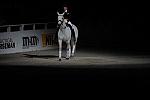 WIHS2-10-29-10-6540-PamGoodrich-Lamborghini-DDeRosaPhoto.JPG