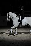 WIHS2-10-29-10-6553-PamGoodrich-Lamborghini-DDeRosaPhoto.JPG