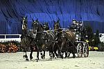 WIHS2-10-28-10-4665-ChesterWeber-DDeRosaPhoto.JPG