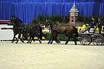 WIHS2-10-28-10-4669-ChesterWeber-DDeRosaPhoto.JPG
