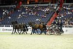 WIHS2-10-28-10-4676-ChesterWeber-DDeRosaPhoto.jpg