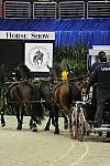 WIHS2-10-28-10-4678-ChesterWeber-DDeRosaPhoto.JPG