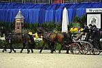 WIHS2-10-28-10-4679-ChesterWeber-DDeRosaPhoto.JPG