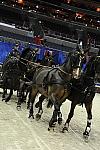 WIHS2-10-28-10-4689-ChesterWeber-DDeRosaPhoto.JPG