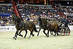 WIHS2-10-28-10-4692-ChesterWeber-DDeRosaPhoto.jpg