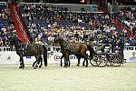 WIHS2-10-28-10-4694-ChesterWeber-DDeRosaPhoto.jpg