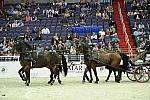 WIHS2-10-28-10-4696-ChesterWeber-DDeRosaPhoto.jpg