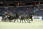 WIHS2-10-28-10-4701-ChesterWeber-DDeRosaPhoto.jpg