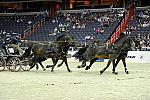WIHS2-10-28-10-4702-ChesterWeber-DDeRosaPhoto.jpg