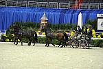 WIHS2-10-28-10-4709-ChesterWeber-DDeRosaPhoto.jpg