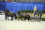 WIHS2-10-28-10-4710-ChesterWeber-DDeRosaPhoto.jpg