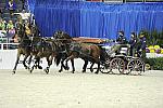 WIHS2-10-28-10-4711-ChesterWeber-DDeRosaPhoto.jpg