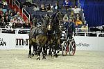 WIHS2-10-28-10-4712-ChesterWeber-DDeRosaPhoto.jpg