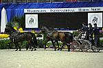 WIHS2-10-28-10-4716-ChesterWeber-DDeRosaPhoto.jpg