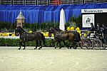 WIHS2-10-28-10-4717-ChesterWeber-DDeRosaPhoto.jpg